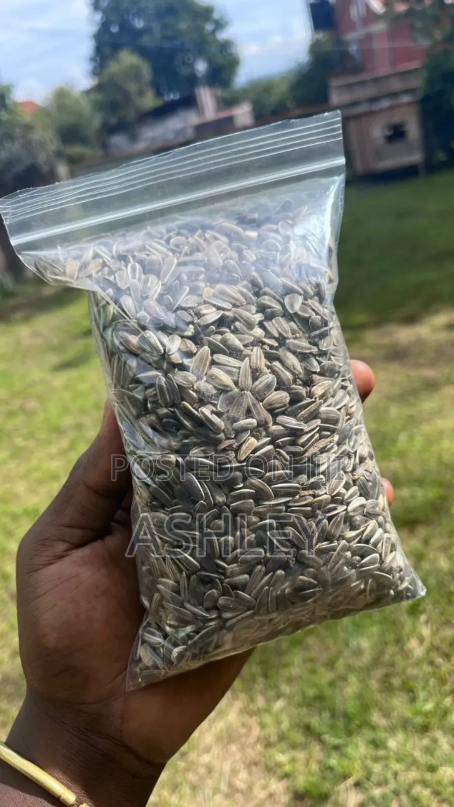 Sunflower Seeds