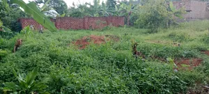 Plot for Sale ( Bujjuko)