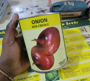 Red Onion Seeds – 250g Pack High Yield Vegetable Seeds