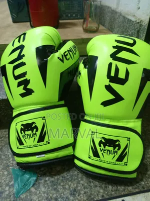 Venum Boxing Gloves 12oz