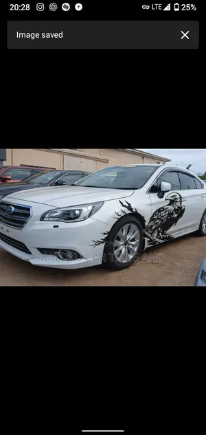 Denis Car Body Stickers