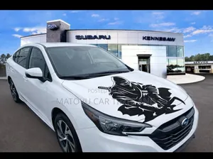 Denis Car Body Stickers
