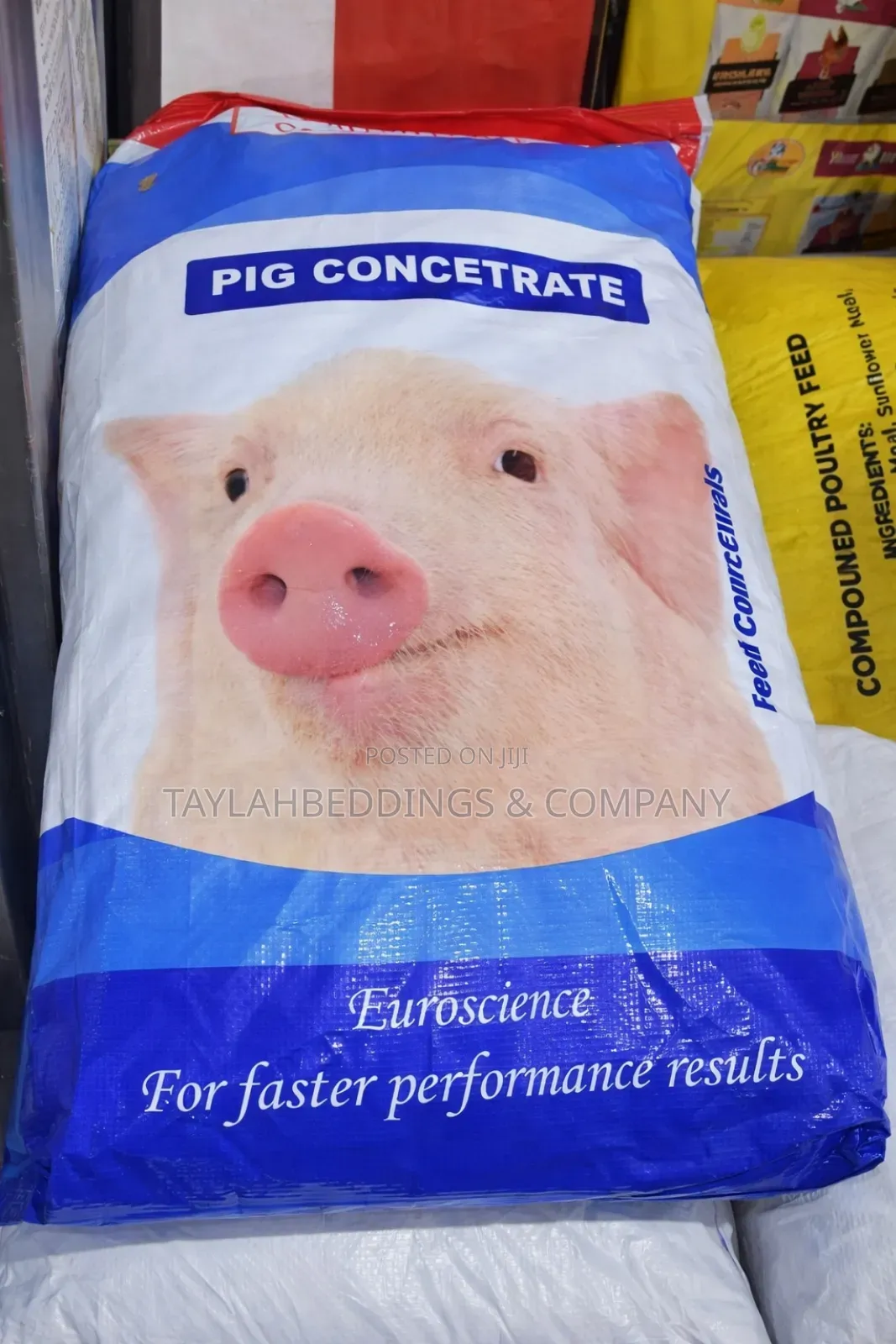 Effectiveness High-Protein Concentrate for Pig Feeding 20kg