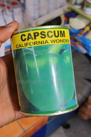 Green Pepper California Wonder (Continental)