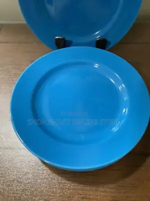School Serving Plates Serving Plates 120pcs