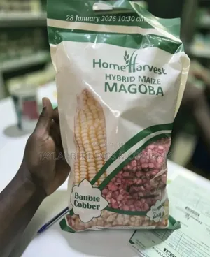 Home Harvest Magoba Hybrid Maize Seeds
2kg
