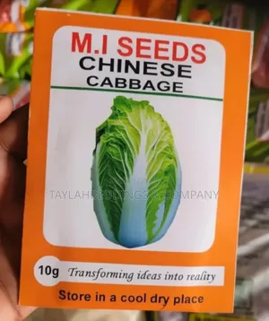 Green Paradise Chinese Cabbage Seeds F1 Hybrid Seeds