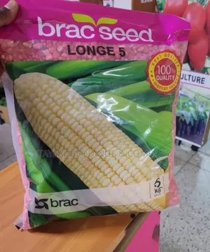 Longe 5 Color F1 Hybrid Maize Seeds