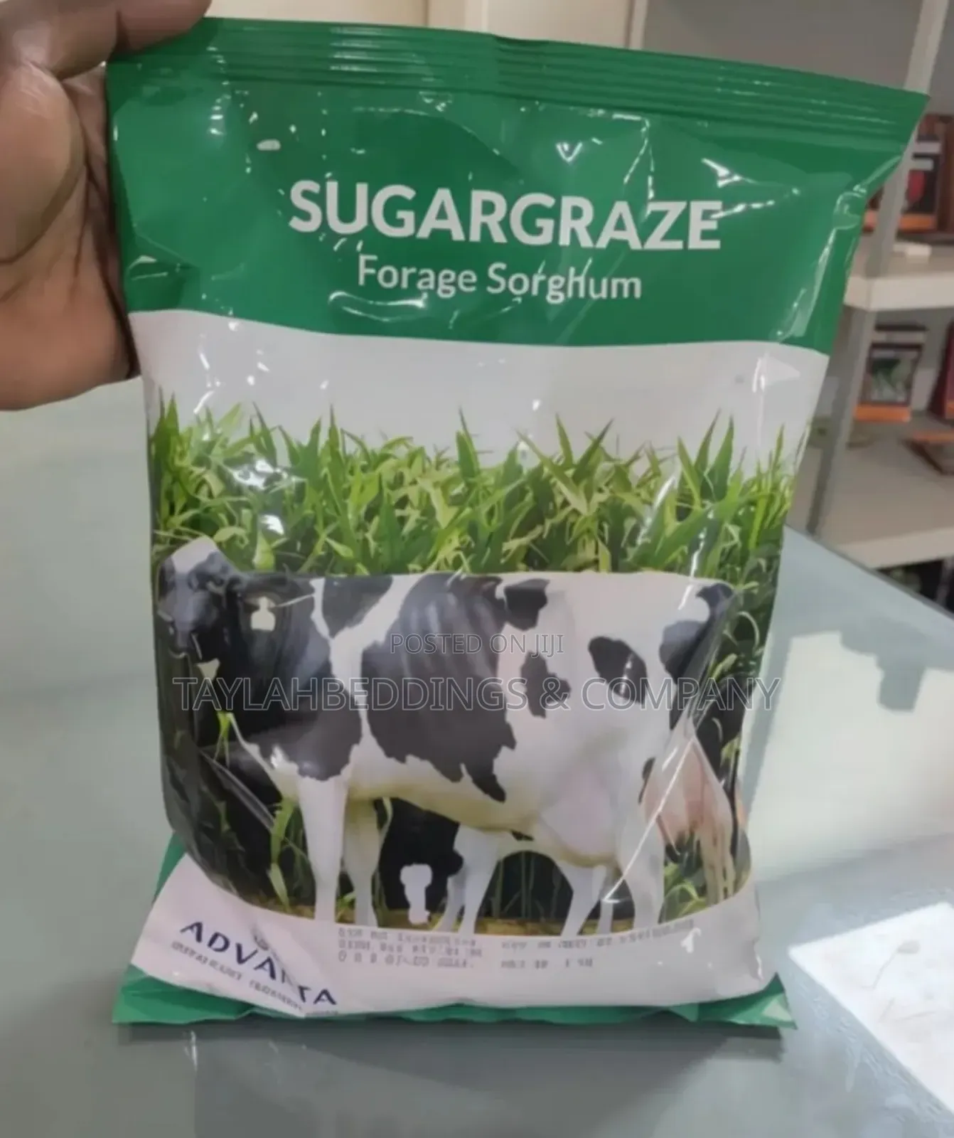 Advanta Sugargraze Forage Sorghum 1kg