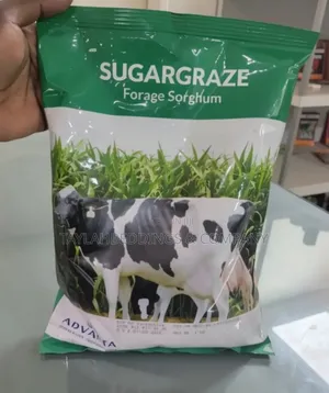 Advanta Sugargraze Forage Sorghum 1kg