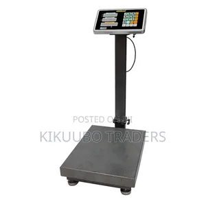 300kg Digital Platform Scale