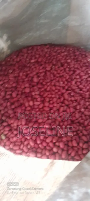Ground Nuts