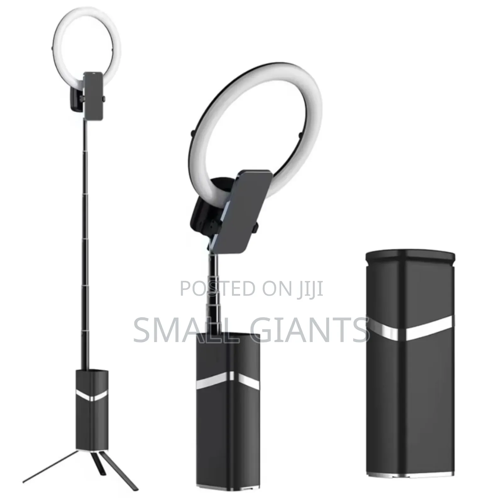 10inch Portable Foldable Rechargeable Ring Light