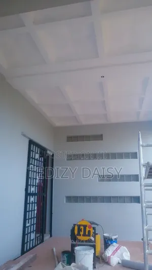 Lady Painter