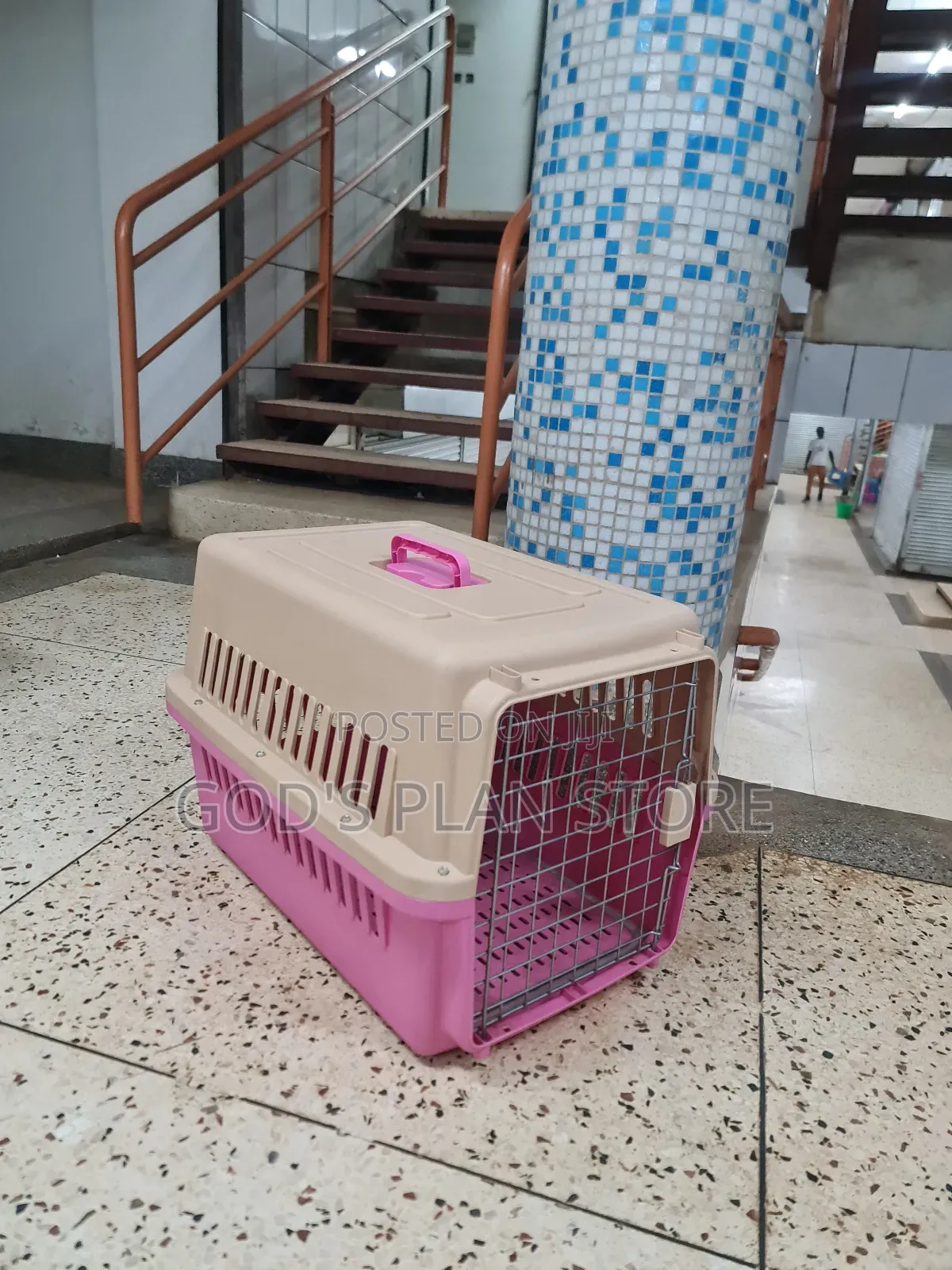 Generally Plastic Dogs Cages Plastic Dogs Cages