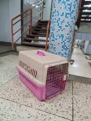 Generally Plastic Dogs Cages Plastic Dogs Cages