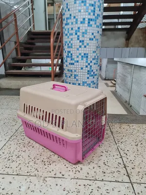 Generally Plastic Dogs Cages Plastic Dogs Cages
