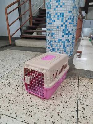 Generally Plastic Dogs Cages Plastic Dogs Cages