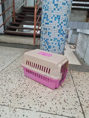 Generally Plastic Dogs Cages Plastic Dogs Cages