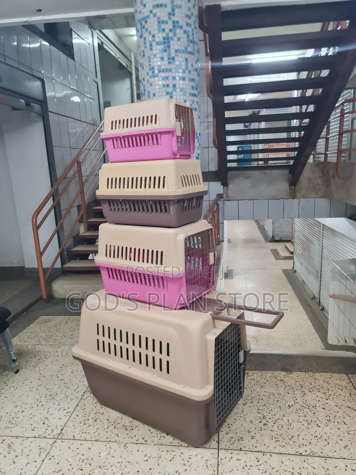 Originally Plastic Pet Cages Plastic Dogs Cages