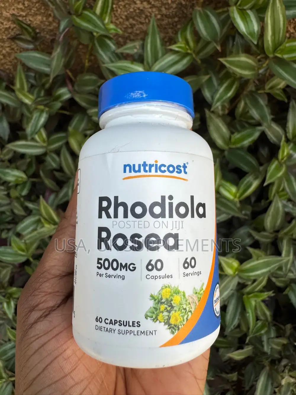 Nutricost Rhodiola Rosea 500mg 60capsules