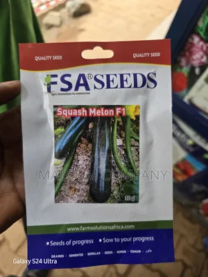 Zucchini Seeds 10g