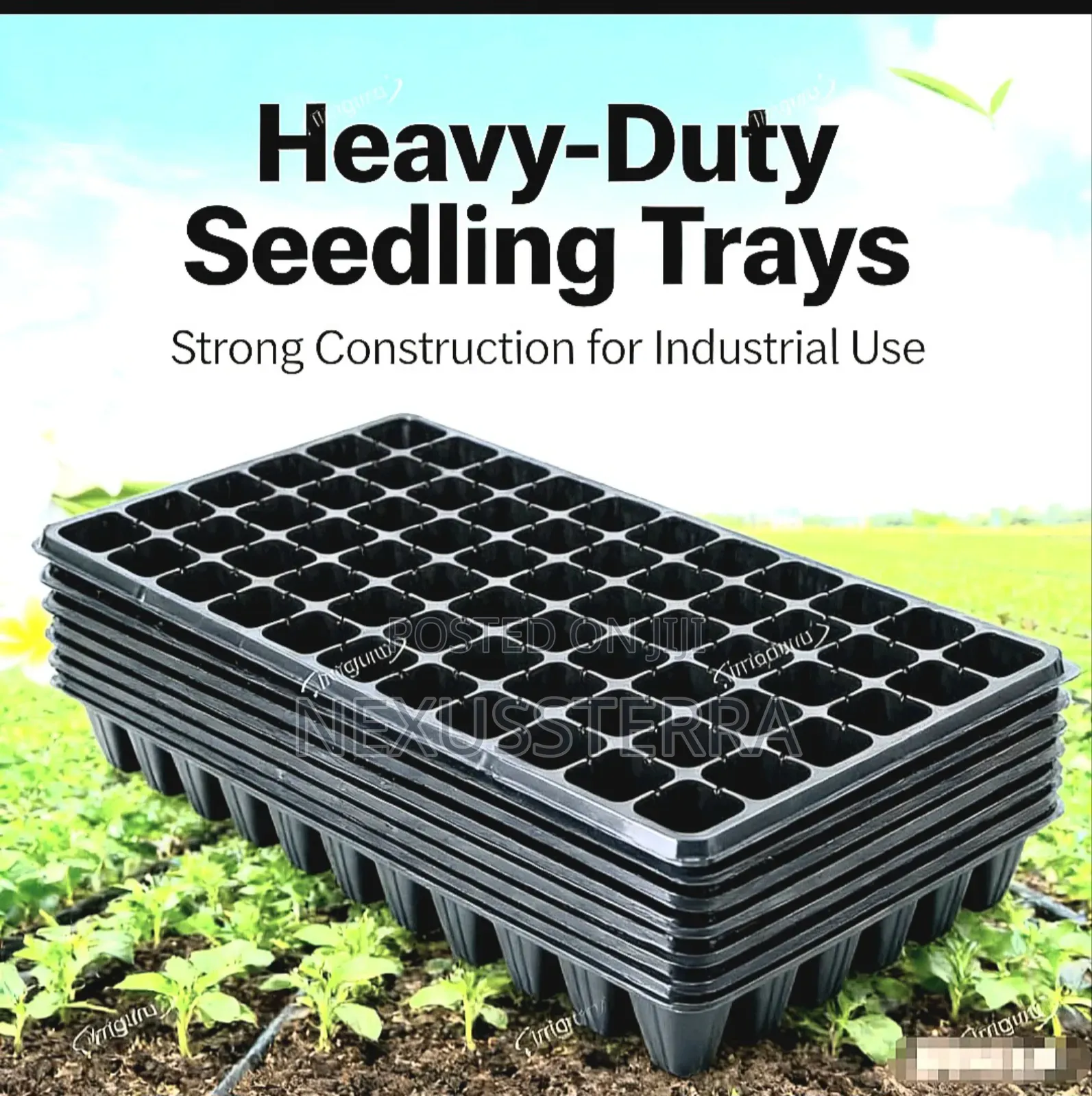 Seedling Tray