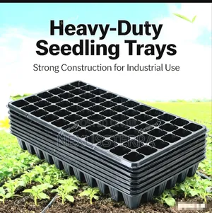 Seedling Tray