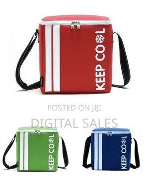 Insulated Portable Cooler Bag With Shoulder Strap