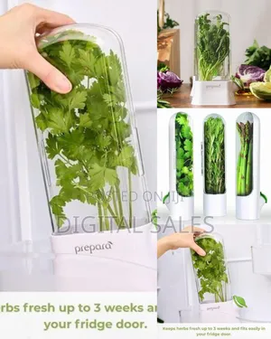 Vertical Fresh Herb and Asparagus Keeper for Refrigerator Storage
