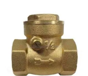 Gi Non Return Valves
