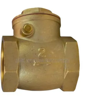 Gi Non Return Valves