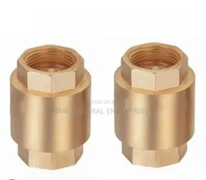 Gi Non Return Valves