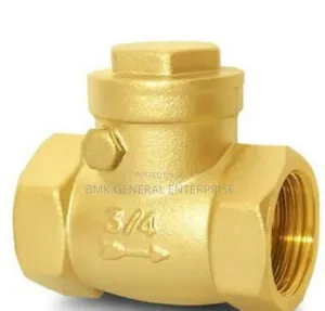 Gi Non Return Valves