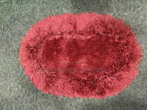 Small Soft Door Mat