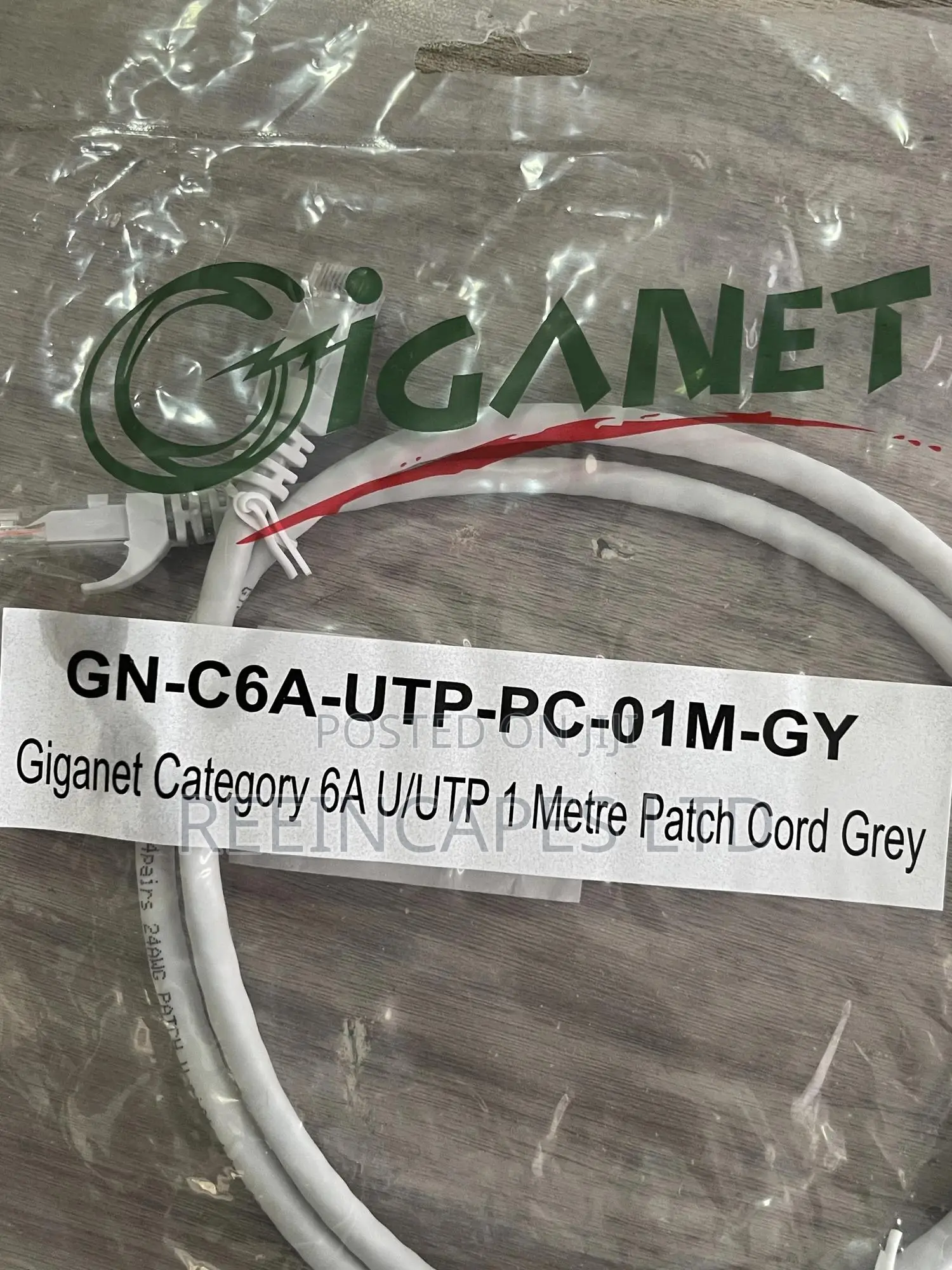 Cat 6a Giganet