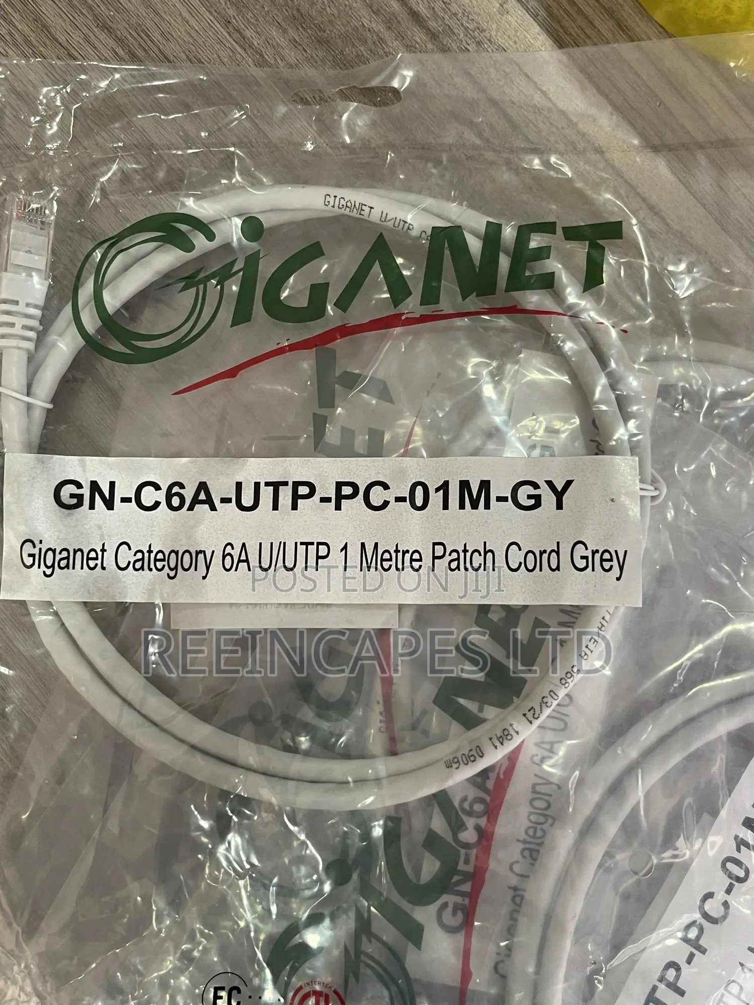 Cat 6a Giganet