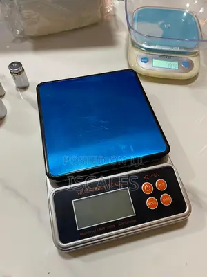 Digital Weighing Scale For Chicken 10kg Weigh Portable Weighing Scale