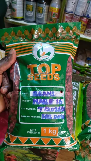 Beans Seeds 1kg, Pure Certified Bean Seeds
