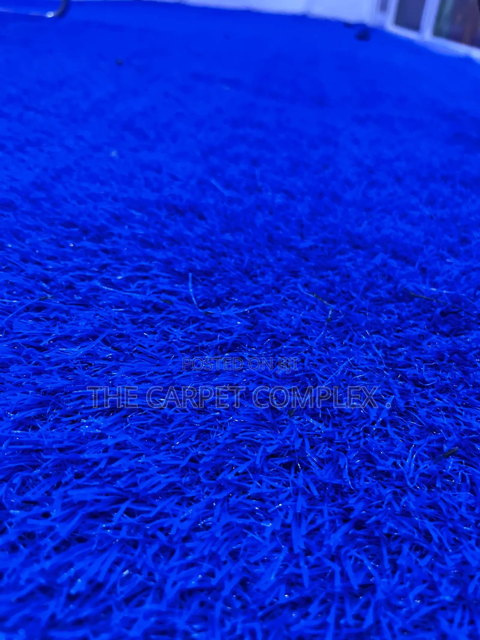 Blue Tuff Grass Per Squaremeter