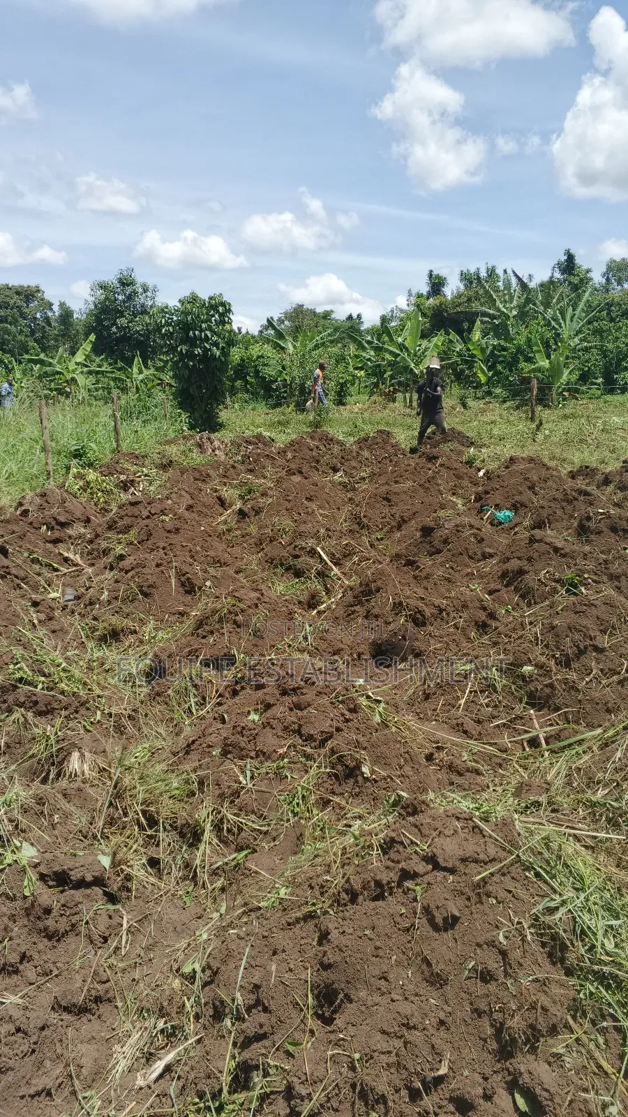 Plot Available Kikandwa in Estate