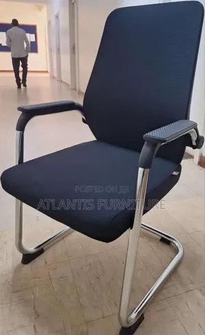 Life Orgonomic Chair