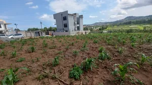 2 Plots of 50x100 for Sale at Kajansi