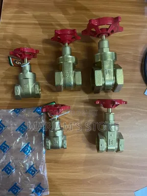 Gate Valves 1/2"