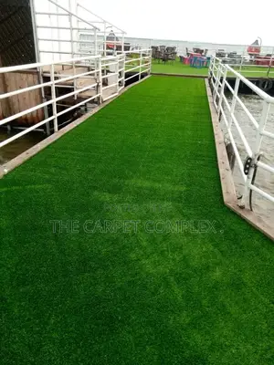 Modern Entrance Grass.Quality Carpets Squaremeter