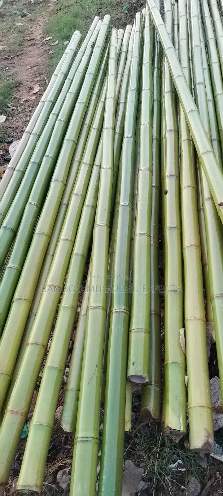 Bamboo Works
