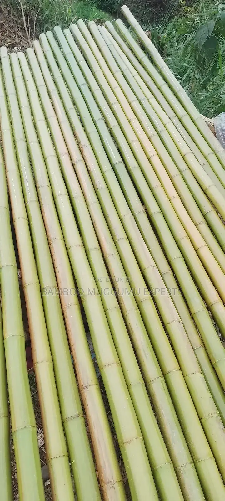 Bamboo Works