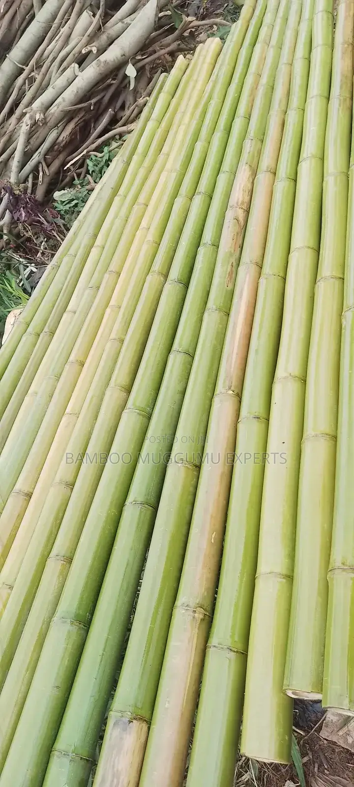 Bamboo Works