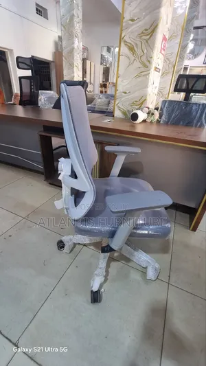 Classic Orgonomic Mesh Chairs