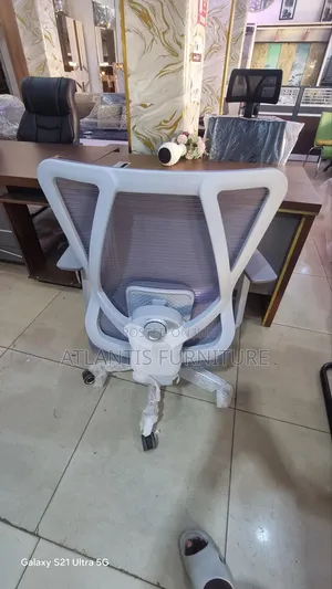 Classic Orgonomic Mesh Chairs